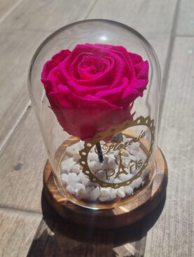 Belle Éternité Orange Fucsia